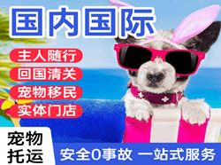 白城空运国际宠物托运 【国